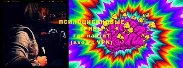 амф Алексеевка