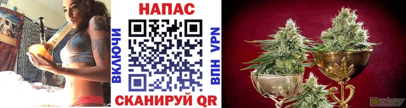 дарнет шоп  hydra ссылки  Конопля Ganja  Нытва 